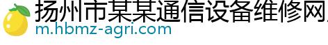 扬州市某某通信设备维修网点