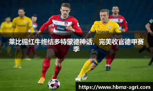 莱比锡红牛终结多特蒙德神话，完美收官德甲赛季