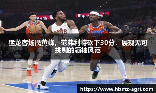 猛龙客场擒黄蜂，范弗利特砍下30分，展现无可挑剔的领袖风范