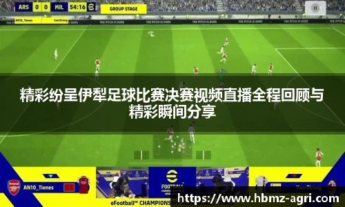 精彩纷呈伊犁足球比赛决赛视频直播全程回顾与精彩瞬间分享