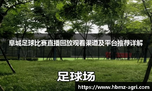 阜城足球比赛直播回放观看渠道及平台推荐详解