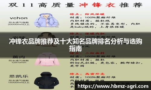 冲锋衣品牌推荐及十大知名品牌排名分析与选购指南