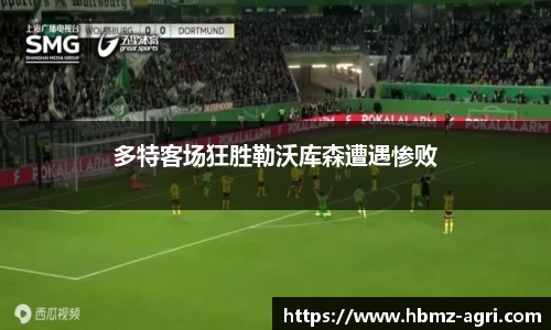 多特客场狂胜勒沃库森遭遇惨败