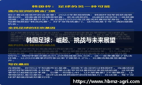 韩国足球：崛起、挑战与未来展望